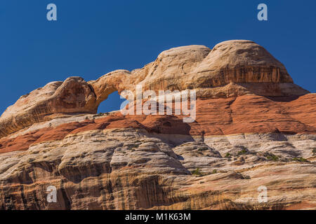 Einen dramatischen Bogen aus Cedar Mesa Sandstein gesehen vom oberen Salt Creek Canyon im Needles District des Canyonlands National Park, Utah, USA Stockfoto