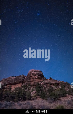Mondlicht beleuchtet die Felsformationen von Campingplatz in Salt Creek Canyon im Needles District des Canyonlands National Park, Utah, U gesehen Stockfoto