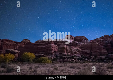 Mondlicht beleuchtet die Felsformationen von Campingplatz in Salt Creek Canyon im Needles District des Canyonlands National Park, Utah, U gesehen Stockfoto