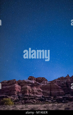 Mondlicht beleuchtet die Felsformationen von Campingplatz in Salt Creek Canyon im Needles District des Canyonlands National Park, Utah, U gesehen Stockfoto