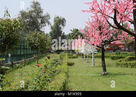 Schöner park Stockfoto