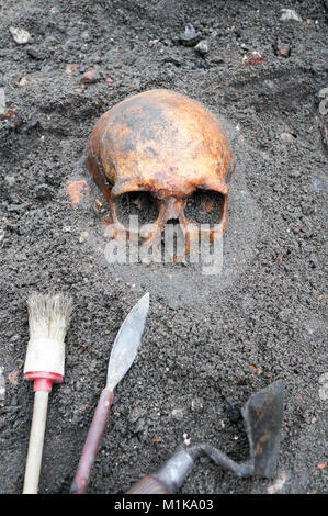 Archäologische Ausgrabung mit Schädel noch halb im Boden und Werkzeuge neben Lügen begraben Stockfoto