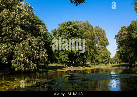 Deutschland, Köln, Teich am Theodor-Heuss-Ring in der Nähe des Platz Ebertplatz. Deutschland, Koeln, Weiher am Theodor-Heuss-Ring nahe Ebertplatz. - Stockfoto