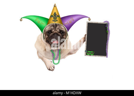 Mardi gras Mops Welpen Hund mit Karneval jester Hut, venezianische Maske und leere Tafel, an den weißen Banner, auf weißem Hintergrund Stockfoto