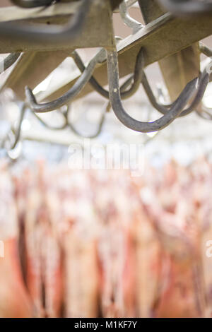 In der Nähe Bild von einem Fleischhaken in einem Schlachthof mit Hammel Schlachtkörper im Hintergrund Stockfoto