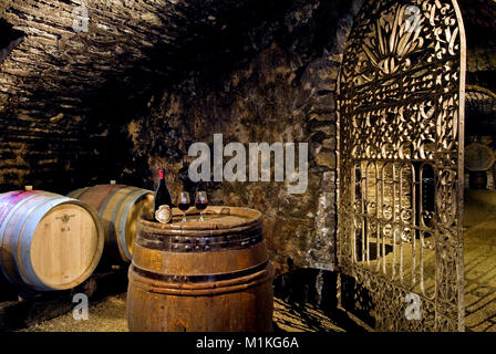 WEINPROBE FRANZÖSISCHER WEINKELLER BURGUND Historischer Weinkeller von Chateau de Pommard mit Rotweinflasche Verkostung auf Pommard, Cote d'Or, Frankreich Stockfoto