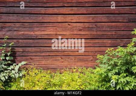 Holz- wand, Hintergrund mit grünen Büschen und Gras gerahmt Stockfoto