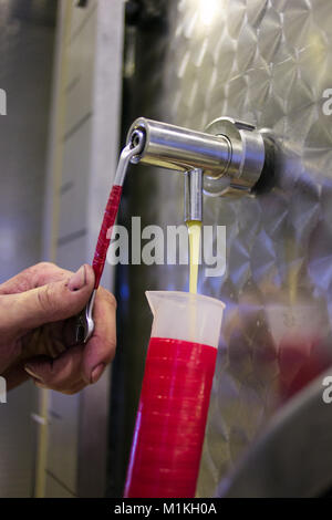 Nahaufnahme eines Hydrometers verwendet, während die Zucker in Wein Stockfoto