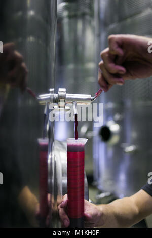 Nahaufnahme eines Hydrometers verwendet, während die Zucker in Wein Stockfoto