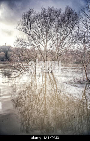 Sandrine Huet/Le Pictorium - der Seine River Flood, Januar 2018 - 26/01/2018 - Frankreich/Ile-de-France (Region) / Soisy-sur-Seine-Dorf Soisy-sur-Seine, Paris. Der Fluss Wasser stieg von 25. bis 29. Januar 2018. Viele Häuser hatten wegen des Hochwassers evakuiert werden. Der Seine erreicht seinen höchsten Punkt am Bahnhof von Corbeil Essonne in der Nacht von Sonntag, 28. und Montag, den 29. Januar 2018, mit einem Kamm von 4,56 m, ein wenig niedriger als bei der letzten Hochwasser im Juni 2016 Stockfoto