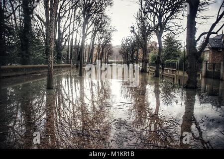 Sandrine Huet/Le Pictorium - der Seine River Flood, Januar 2018 - 26/01/2018 - Frankreich/Ile-de-France (Region) / Soisy-sur-Seine-Dorf Soisy-sur-Seine, Paris. Der Fluss Wasser stieg von 25. bis 29. Januar 2018. Viele Häuser hatten wegen des Hochwassers evakuiert werden. Der Seine erreicht seinen höchsten Punkt am Bahnhof von Corbeil Essonne in der Nacht von Sonntag, 28. und Montag, den 29. Januar 2018, mit einem Kamm von 4,56 m, ein wenig niedriger als bei der letzten Hochwasser im Juni 2016 Stockfoto