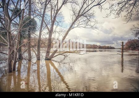 Sandrine Huet/Le Pictorium - der Seine River Flood, Januar 2018 - 26/01/2018 - Frankreich/Ile-de-France (Region) / Soisy-sur-Seine-Dorf Soisy-sur-Seine, Paris. Der Fluss Wasser stieg von 25. bis 29. Januar 2018. Viele Häuser hatten wegen des Hochwassers evakuiert werden. Der Seine erreicht seinen höchsten Punkt am Bahnhof von Corbeil Essonne in der Nacht von Sonntag, 28. und Montag, den 29. Januar 2018, mit einem Kamm von 4,56 m, ein wenig niedriger als bei der letzten Hochwasser im Juni 2016 Stockfoto