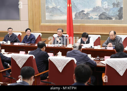 Peking, China. 31 Jan, 2018. Chinesischen Vizepremier Wang Yang (C, hinten) leitet die fünfte Plenartagung der gemeinsamen Ministertagung des Rates für Tourismus in Peking, der Hauptstadt von China, 31.01.2018. Credit: Wang Ye/Xinhua/Alamy leben Nachrichten Stockfoto