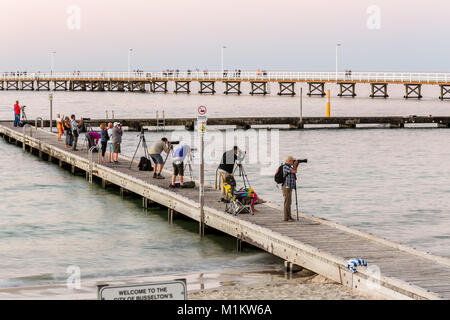 Busselton, Western Australia. 31. Januar 2018. Fotografen Line Up auf der alten Anlegestelle der Super Mond über dem Busselton Jetty steigende zu fotografieren. Dieser Mond wird Rot während einer Mondfinsternis am späteren Abend. Quelle: Chris de Leer/Alamy leben Nachrichten Stockfoto