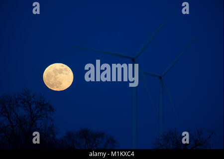 Foston auf der Wolds, East Yorkshire, Großbritannien. 31 Jan, 2018. Die Supermoon (Super blaues Blut Mond) steigende über einem ländlichen Windpark. Credit: Josh Harrison/Alamy Leben Nachrichten. Stockfoto