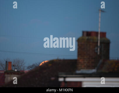 Wimbledon, London, UK. 31. Januar 2018. Orange supermoon steigt über Suburban Häuser im Süden Londons in den klaren Nachthimmel. Credit: Malcolm Park/Alamy Leben Nachrichten. Stockfoto