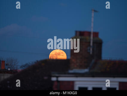 Wimbledon, London, UK. 31. Januar 2018. Orange supermoon steigt über Suburban Häuser im Süden Londons in den klaren Nachthimmel. Credit: Malcolm Park/Alamy Leben Nachrichten. Stockfoto