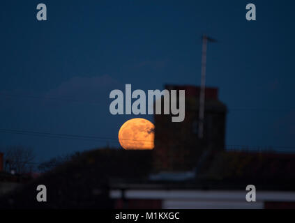 Wimbledon, London, UK. 31. Januar 2018. Orange supermoon steigt über Suburban Häuser im Süden Londons in den klaren Nachthimmel. Credit: Malcolm Park/Alamy Leben Nachrichten. Stockfoto