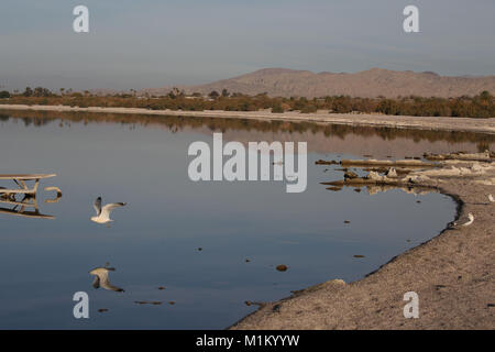 Bombay Beach, Kalifornien, USA. 10 Dez, 2016. Der Salton Sea ist ein flacher, Saline, endorheic rift See direkt auf der San Andreas Störung, vorwiegend in den südlichen Kalifornien Imperial und Coachella Täler. Der tiefste Punkt des Meeres ist 1,5 m (5 ft) höher als der niedrigste Punkt des Death Valley. Die jüngsten Zufluss von Wasser aus dem inzwischen stark kontrollierten Colorado River wurde versehentlich durch die Ingenieure der Kalifornien Development Company im Jahre 1905 erstellt. Die daraus resultierenden Abfluss die engineered Canal überwältigt, und der Fluss floss in den Salton Becken für zwei Jahre, füllen Stockfoto