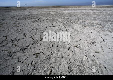 Bombay Beach, Kalifornien, USA. 10 Dez, 2016. Trockene Wattenmeer am Ufer des Salton See gerissen. Der Salton Sea ist ein flacher, Saline, endorheic rift See direkt auf der San Andreas Störung, vorwiegend in den südlichen Kalifornien Imperial und Coachella Täler. Der tiefste Punkt des Meeres ist 1,5 m (5 ft) höher als der niedrigste Punkt des Death Valley. Die jüngsten Zufluss von Wasser aus dem inzwischen stark kontrollierten Colorado River wurde versehentlich durch die Ingenieure der Kalifornien Development Company im Jahre 1905 erstellt. Die daraus resultierenden Abfluss die engineered Canal überwältigt, und der Fluss Stockfoto