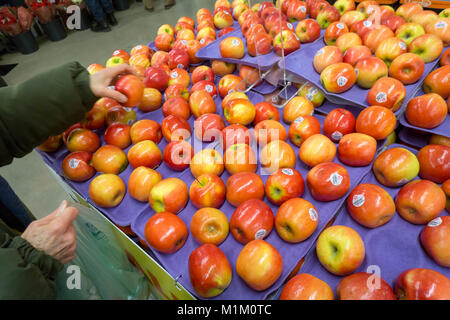 Brooklyn, New York, USA. 31. Januar, 2018. Ein shopper wählt Pink Lady Äpfel zum Verkauf in der Abteilung Produktion der neuen Whole Foods' 365 Fort Greene im Fort Greene Nachbarschaft von Brooklyn in New York am Tag der Eröffnung Mittwoch, 31. Januar 2018. In der Nähe der Barclays Center das 30.000-Quadratfuß-Store, ihre ersten an der Ostküste gelegen, ist eine kostengünstige alternative Whole Foods Market verkauft ihre 365 Marke sowie Waren aus anderen Hersteller von Lebensmitteln. (Â© Richard B. Levine) Credit: Richard Levine/Alamy leben Nachrichten Stockfoto