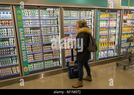 Brooklyn, New York, USA. 31. Januar, 2018. Ein Shopper im Ei Abteilung im neuen Whole Foods' 365 Fort Greene im Fort Greene Nachbarschaft von Brooklyn in New York am Tag der Eröffnung Mittwoch, 31. Januar 2018. In der Nähe der Barclays Center das 30.000-Quadratfuß-Store, ihre ersten an der Ostküste gelegen, ist eine kostengünstige alternative Whole Foods Market verkauft ihre 365 Marke sowie Waren aus anderen Hersteller von Lebensmitteln. (Â© Richard B. Levine) Credit: Richard Levine/Alamy leben Nachrichten Stockfoto