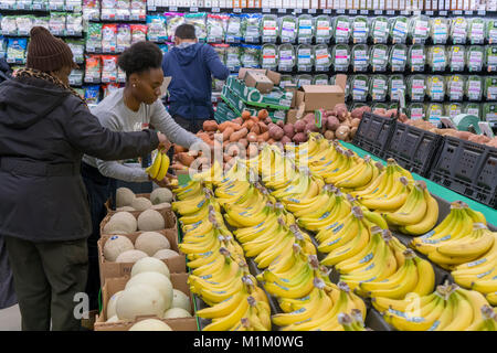 Ein Arbeiter laiert Bananen in der Produk-Abteilung des neuen Whole Foods' 365 Fort Greene im Fort Greene Viertel von Brooklyn in New York am Eröffnungstag Mittwoch, 31. Januar 2018. Das in der Nähe des Barclays Center gelegene 30,000 Quadratmeter große Geschäft, das erste an der Ostküste, ist ein kostengünstiger alternativer Whole Foods Market, der seine Marke 365 sowie Waren anderer Lebensmittelhersteller verkauft. (Â© Richard B. Levine) Quelle: Richard Levine/Alamy Live News Stockfoto