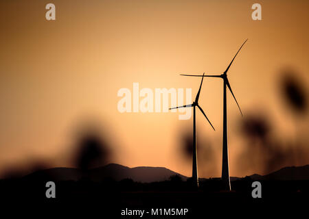 Windkraftanlagen in Rheinland-Pfalz Deutschland im Sommer abends Sonne Stockfoto
