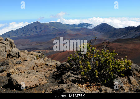 Bunte Krater Haleakala National Park, Maui, Hawaii Stockfoto