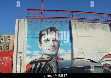 Graffiti des FC Vojvodina Fans, an der Mauer des Karadorde Stadion dargestellt. Novi Sad, Serbien Stockfoto