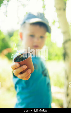 Das Kind hält einen Blumentopf mit einer kleinen Pflanze Stockfoto