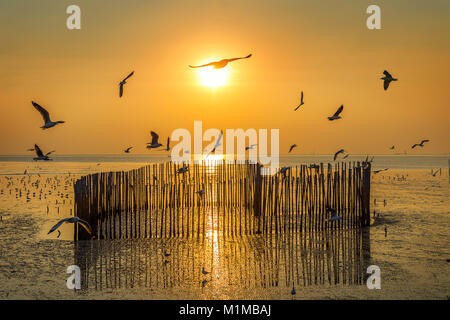 Sonnenuntergang mit silhoutte der Vögel fliegen. Stockfoto