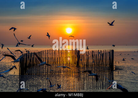 Sonnenuntergang mit silhoutte der Vögel fliegen. Stockfoto