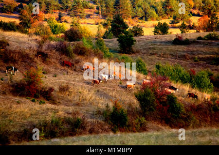 Landschaft mit Kuhherde in der Herbst Wiese. Digitale Malerei, moderne Öl Stil. Stockfoto