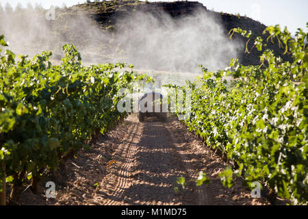 Feldspritze Traktor Weinberge, Verschmutzung des Ökosystems, Obst Stockfoto