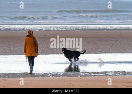 Einsame Frau Wandern auf einsamen Sandstrand mit verspielten schwarzen Hund läuft durch das Wasser entlang der Nordseeküste im Winter Stockfoto