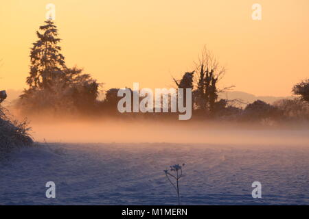 Am frühen Abend Sonne, über ein Feld im Schnee, Chieveley, Newbury, Berkshire, England Stockfoto