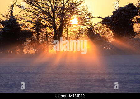 Am frühen Abend Sonne, über ein Feld im Schnee, Chieveley, Newbury, Berkshire, England Stockfoto