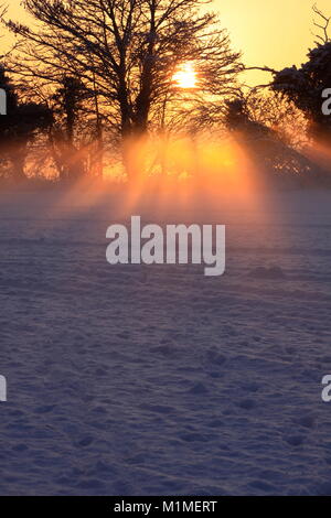 Am frühen Abend Sonne, über ein Feld im Schnee, Chieveley, Newbury, Berkshire, England Stockfoto