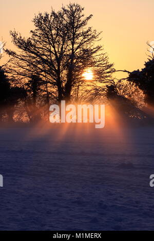 Am frühen Abend Sonne, über ein Feld im Schnee, Chieveley, Newbury, Berkshire, England Stockfoto