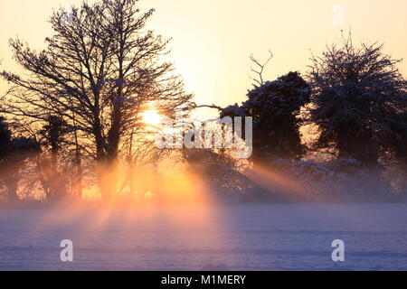 Am frühen Abend Sonne, über ein Feld im Schnee, Chieveley, Newbury, Berkshire, England Stockfoto