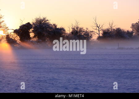 Am frühen Abend Sonne, über ein Feld im Schnee, Chieveley, Newbury, Berkshire, England Stockfoto