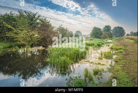 Die Feuchtgebiete und Niederungen der Lincolnshire Fens während einer frühen Herbst Morgen in der Nähe von Kate's Bridge, Thurlby, Lincolnshire, Großbritannien Stockfoto