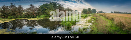 Die Feuchtgebiete und Niederungen der Lincolnshire Fens während einer frühen Herbst Morgen in der Nähe von Kate's Bridge, Thurlby, Lincolnshire, Großbritannien Stockfoto