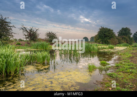 Die Feuchtgebiete und Niederungen der Lincolnshire Fens während einer frühen Herbst Morgen in der Nähe von Kate's Bridge, Thurlby, Lincolnshire, Großbritannien Stockfoto