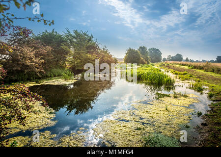 Die Feuchtgebiete und Niederungen der Lincolnshire Fens während einer frühen Herbst Morgen in der Nähe von Kate's Bridge, Thurlby, Lincolnshire, Großbritannien Stockfoto