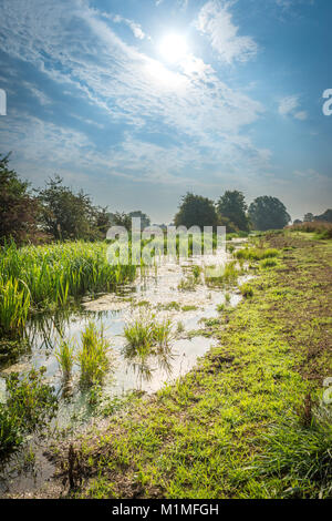 Die Feuchtgebiete und Niederungen der Lincolnshire Fens während einer frühen Herbst Morgen in der Nähe von Kate's Bridge, Thurlby, Lincolnshire, Großbritannien Stockfoto