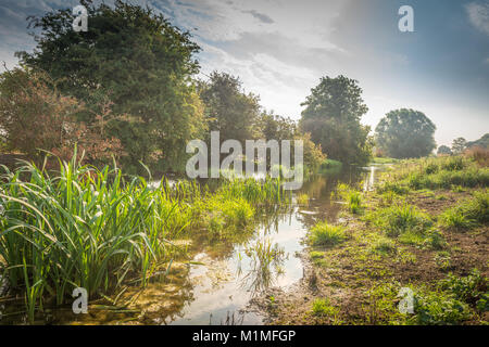 Die Feuchtgebiete und Niederungen der Lincolnshire Fens während einer frühen Herbst Morgen in der Nähe von Kate's Bridge, Thurlby, Lincolnshire, Großbritannien Stockfoto