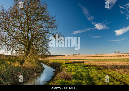 Eine typische Kulturlandschaft Szene von Ackerflächen am Rande des Lincolnshire Fens in der Nähe von Bourne, Lincolnshire, Großbritannien Stockfoto