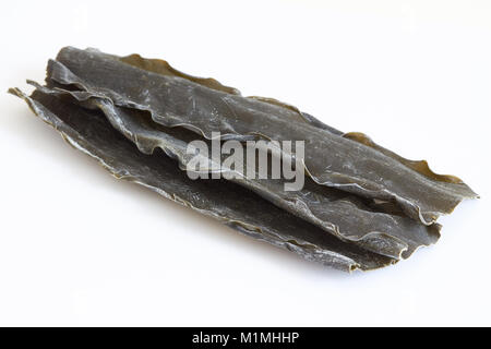 Getrocknete Kombu Algen (Laminariaceae longissima) auf weißem Hintergrund Stockfoto